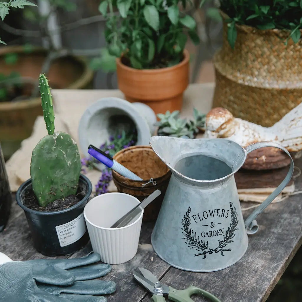 Zorgtips voor planten