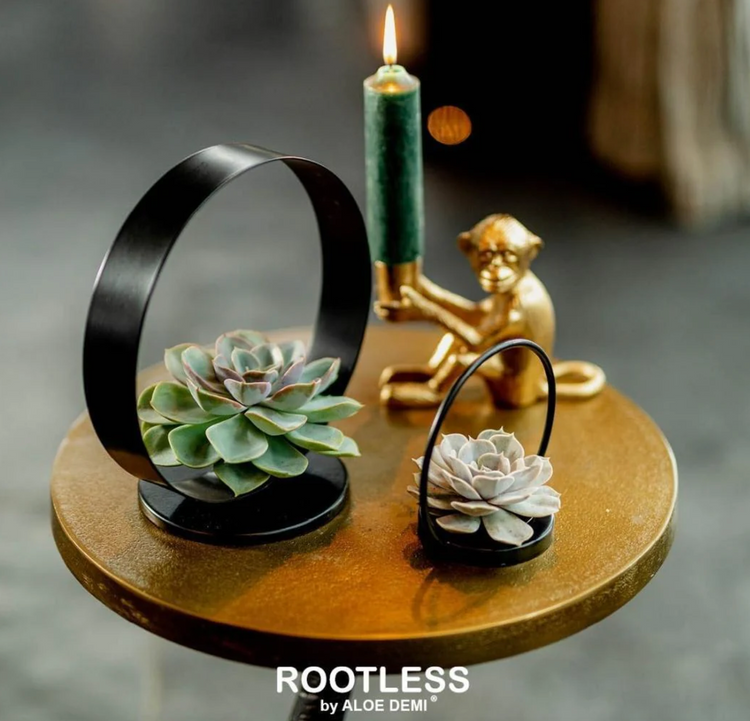 Rootless