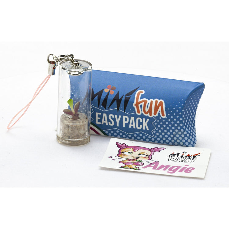 MIN̮Easypack