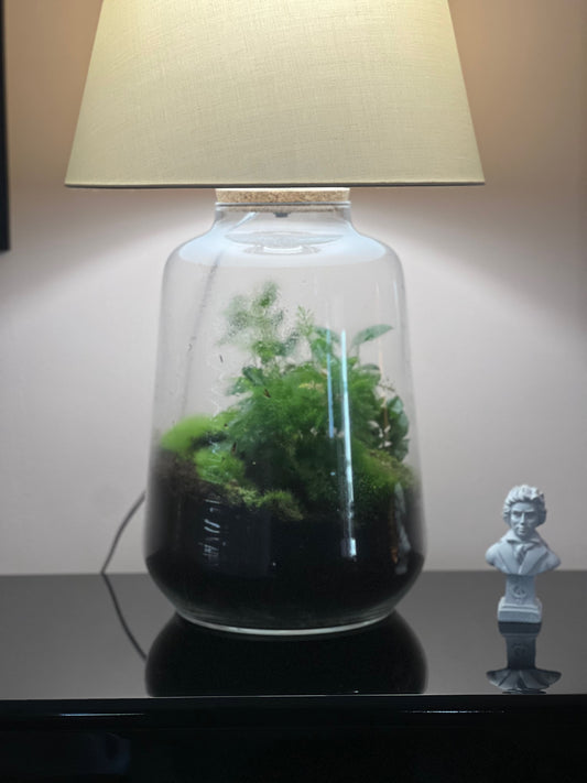 Terrario Luce Filomena 3