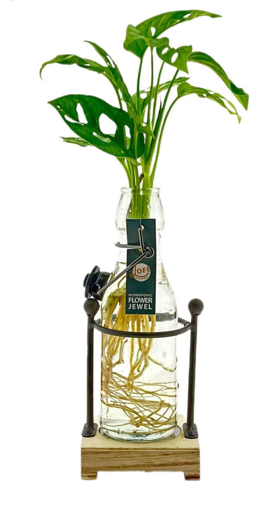 GIOIELLO DI LUCE | SUPPORTO TONDO IN LEGNO | MONSTERA ADANSONII