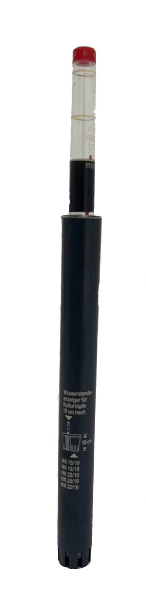 ficus lyrata