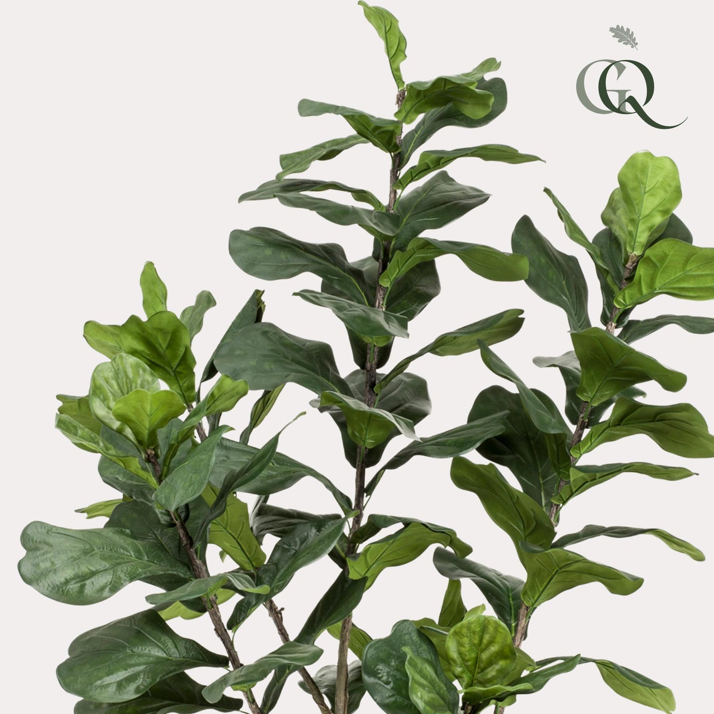 Pianta artificiale - Ficus Lyrata - Pianta di tabacco - 210cm