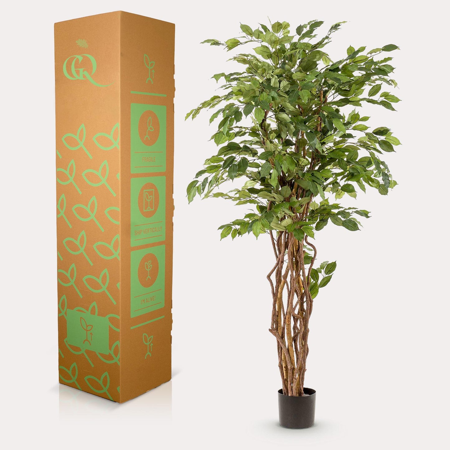 pianta artificiale - Ficus liana - Pianta a foglia di violino - 170 cm