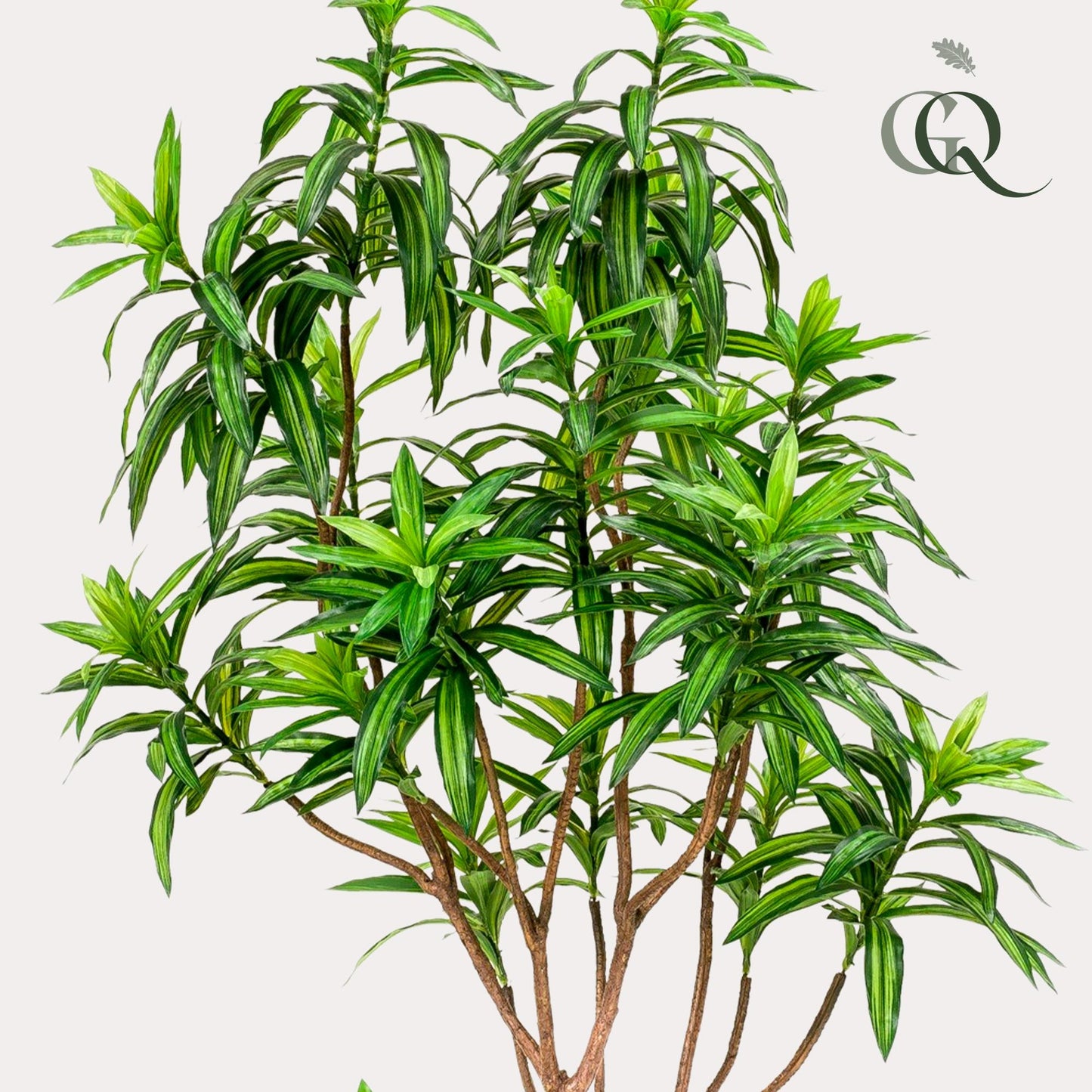 Pianta artificiale - Dracaena - Albero del drago - 190 cm