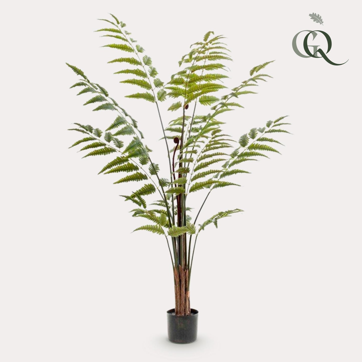 Artificial plant - Rumohra Adiantiformis - Leather fern - 150 cm