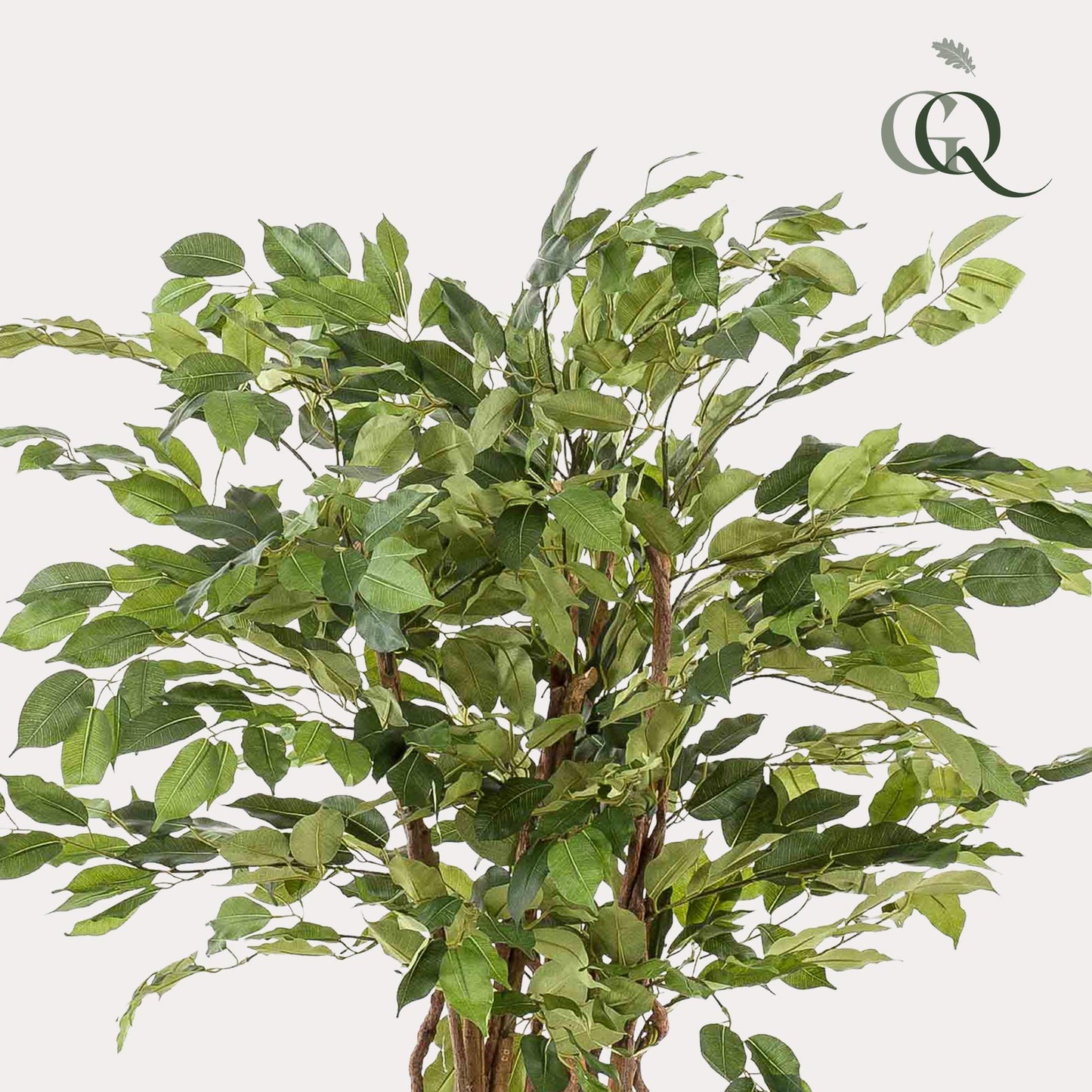 pianta artificiale - Ficus liana - Pianta a foglia di violino - 140 cm