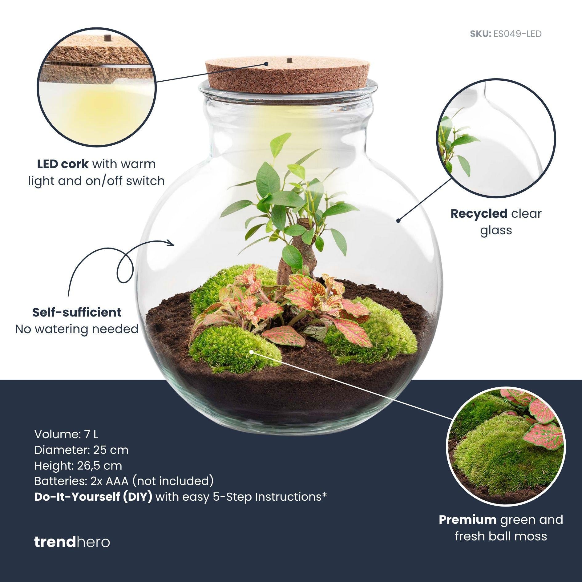 DIY Plant terrarium with light – piantedappartamento.shop