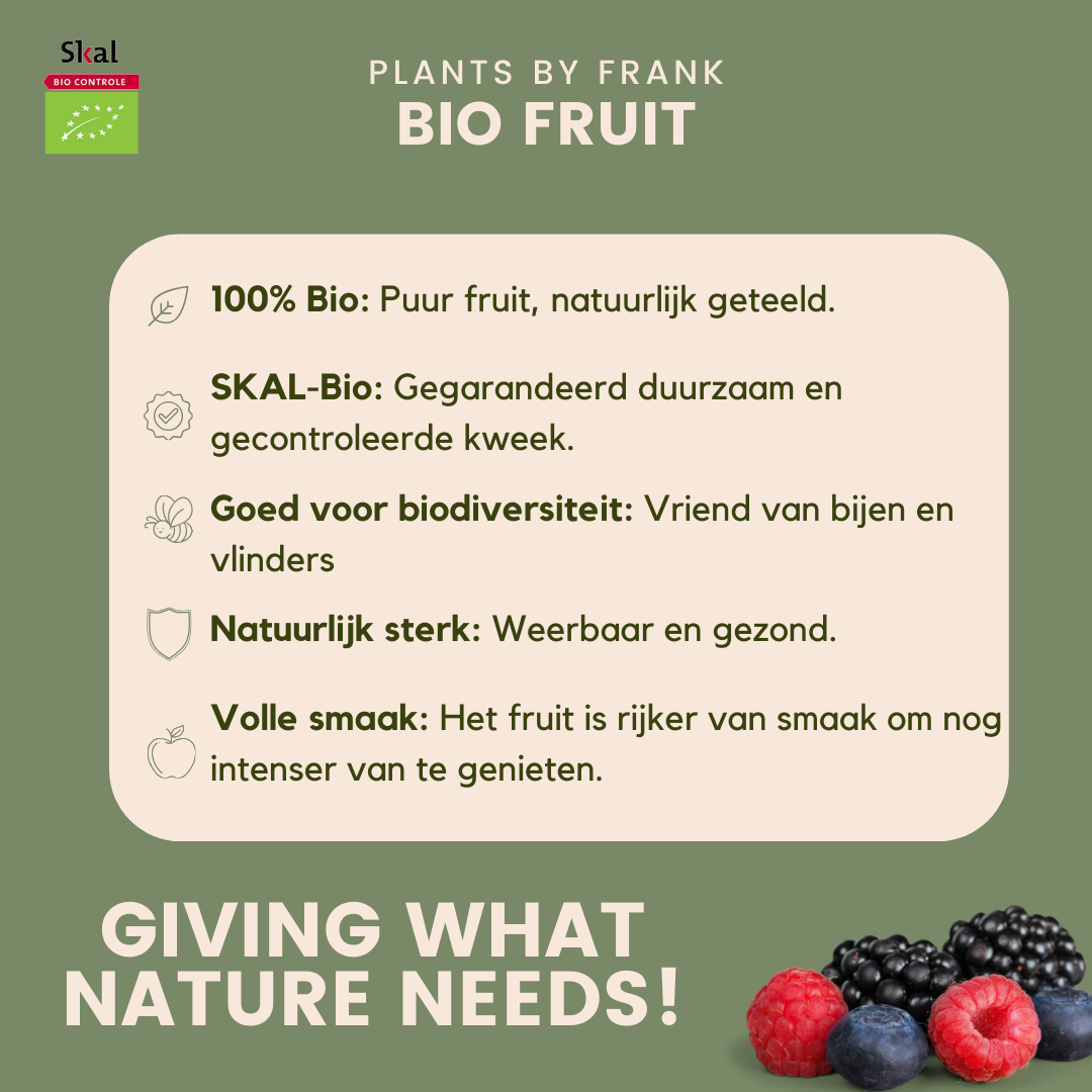 "Fruit party" Set di piante da frutto BIO di 3 tipi diversi