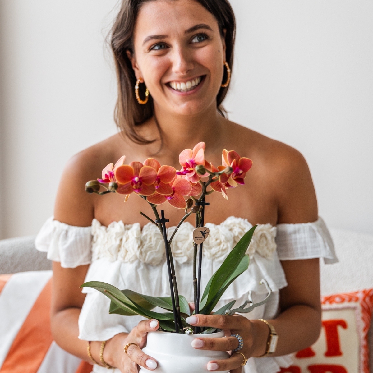 Orchidee colibrì | OFFERTA COMBI di 4 orchidee Phalaenopsis arancioni - Bolzano - dimensioni vaso Ø9cm | pianta d'appartamento in fiore - fresca dal coltivatore