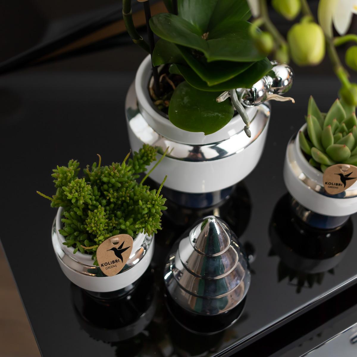Kolibri Home | Vaso da fiori Le Chic - Vaso decorativo in ceramica bianca con dettagli argentati - Ø9cm