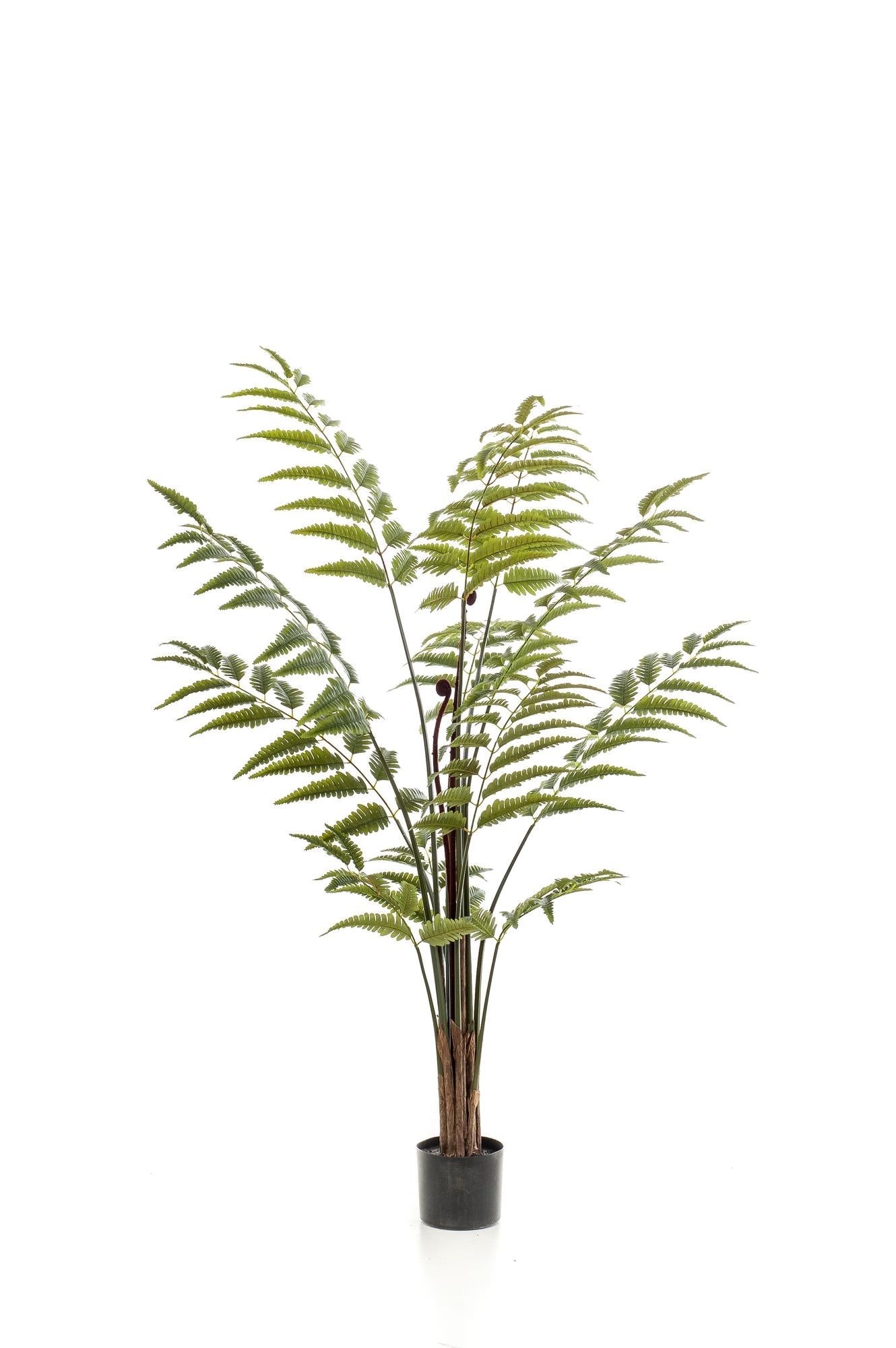 Artificial plant - Rumohra Adiantiformis - Leather fern - 150 cm