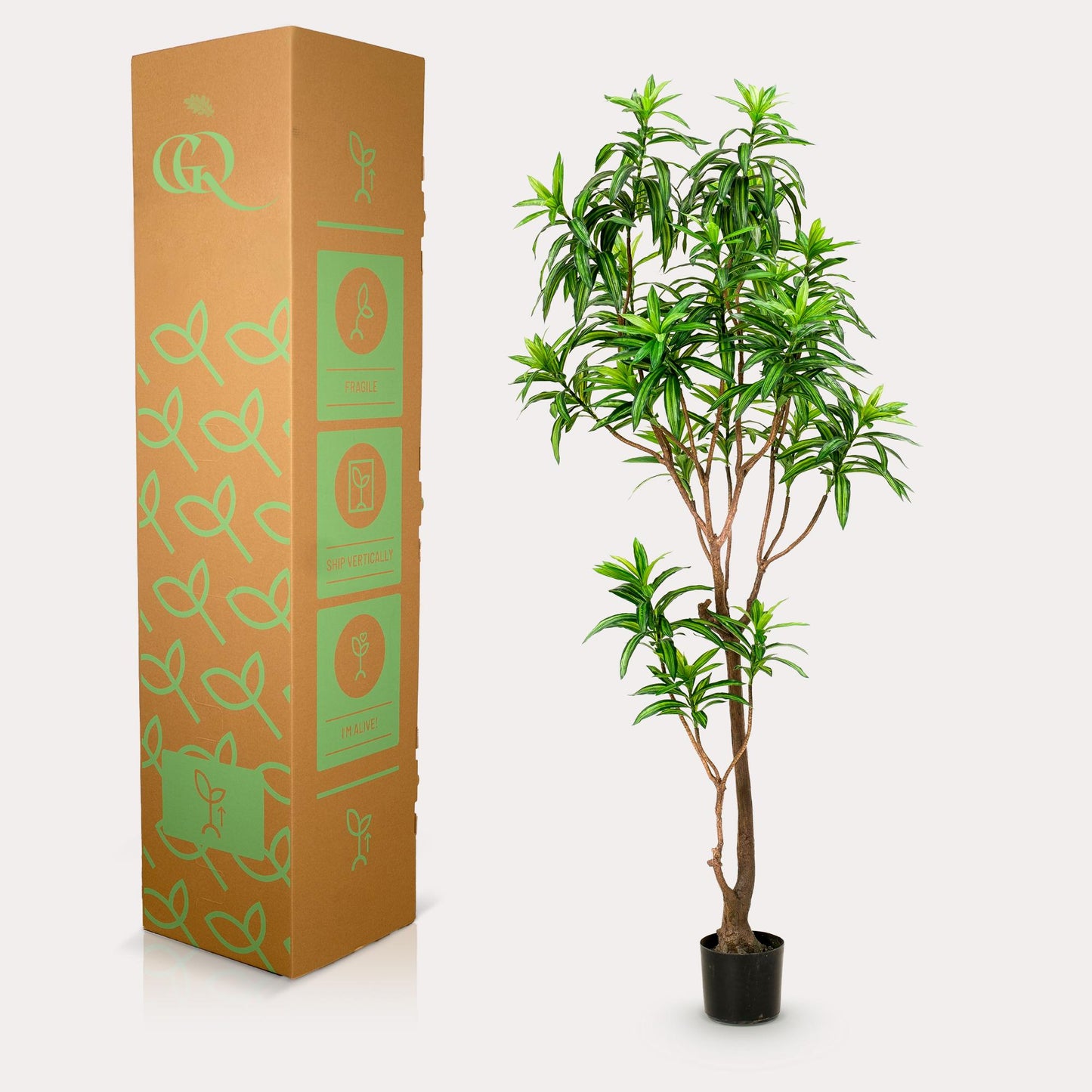 Pianta artificiale - Dracaena - Albero del drago - 190 cm