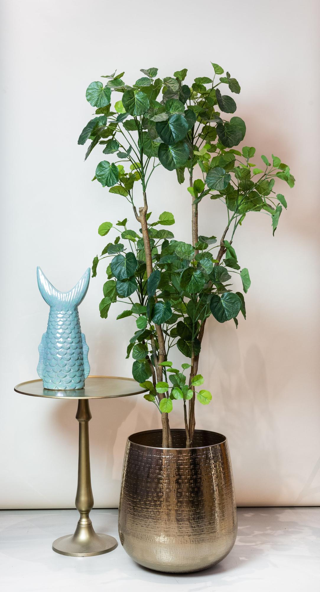 Pianta artificiale - Polyscias - Aralia - 160 cm