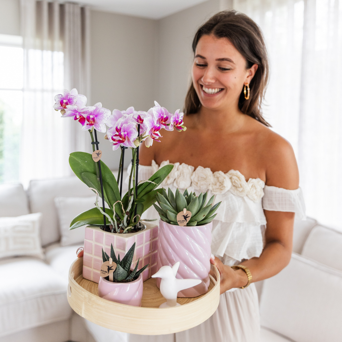 Kolibri Orchids | orchidea Phalaenopsis rosa in vaso Ø9cm | Rotterdam | pianta da appartamento fiorita - fresca dal coltivatore