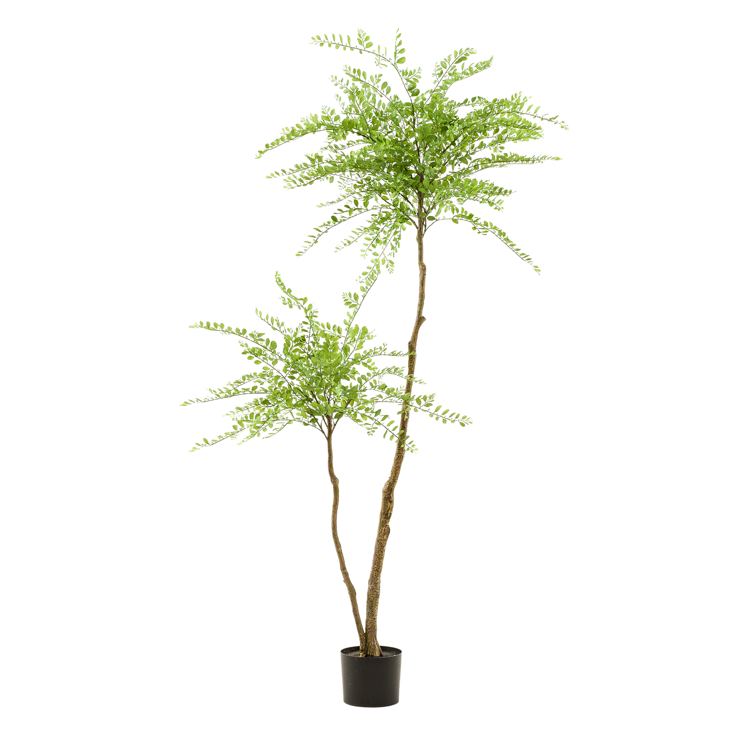 artificial plant - Sophora tree - Honey tree - 190cm