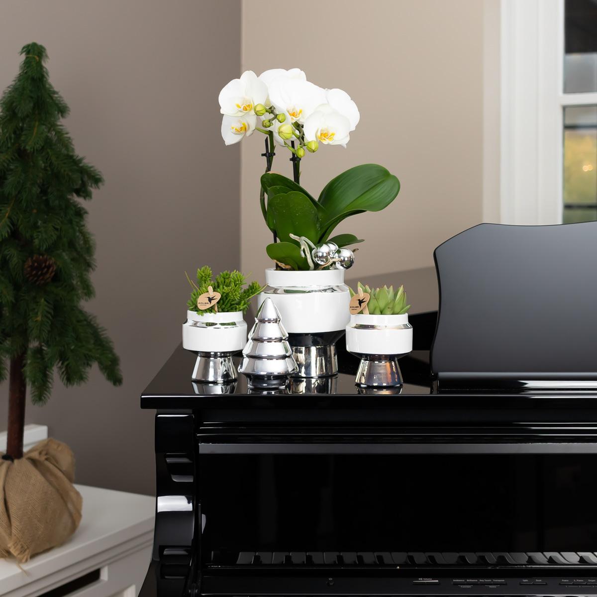 Kolibri Home | Vaso da fiori Le Chic - Vaso decorativo in ceramica bianca con dettagli argentati - Ø9cm