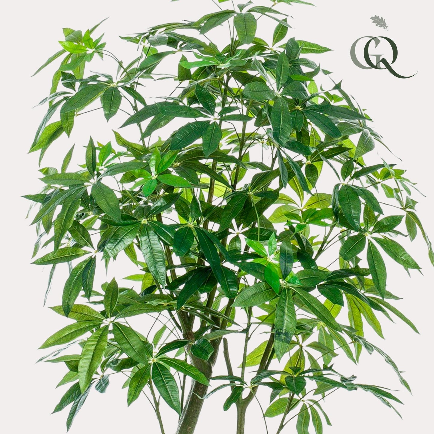 Pianta artificiale - Pachira Aquatica - Albero dei soldi - 180 cm