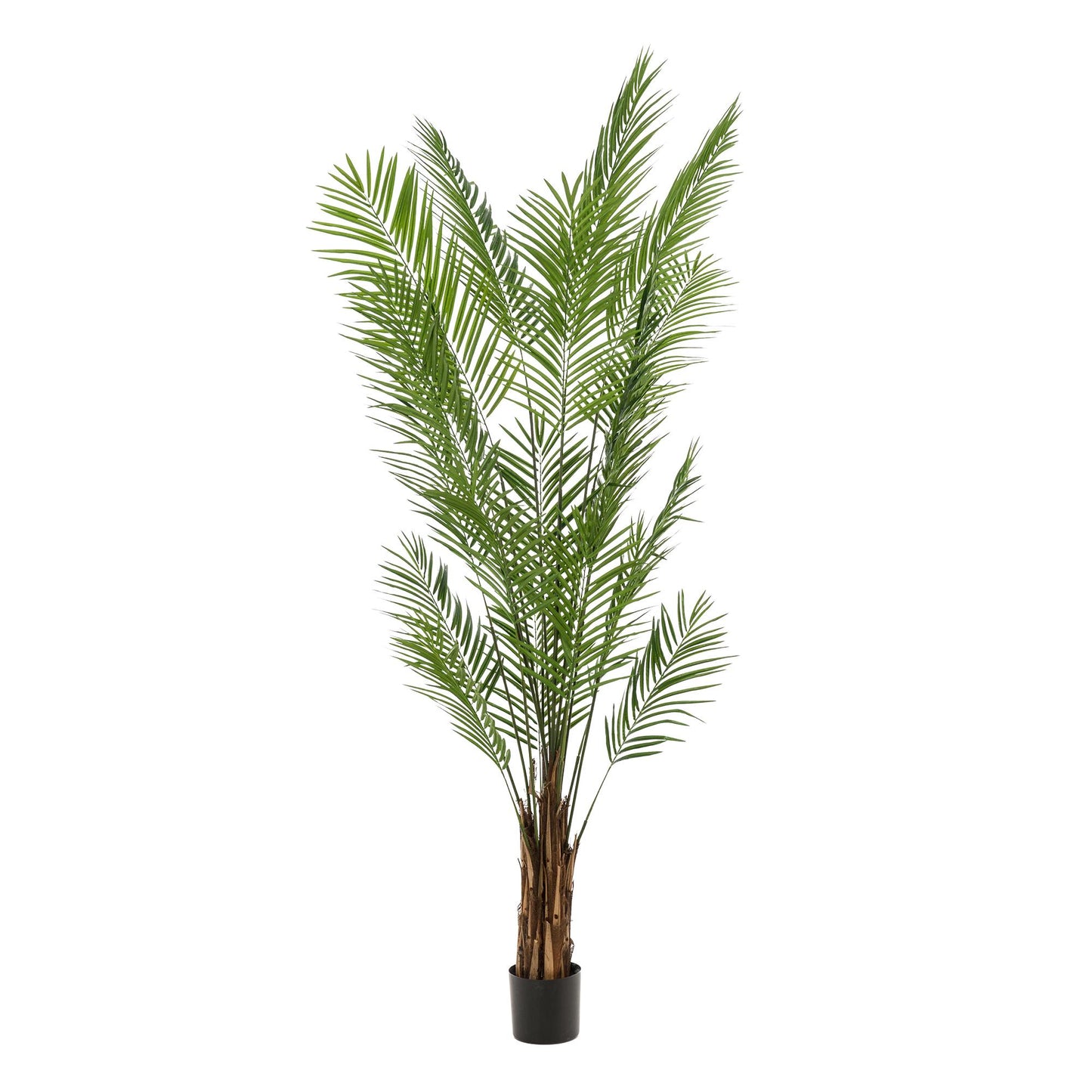 Artificial plants - Areca Lutescens - Gold Palm - 240cm