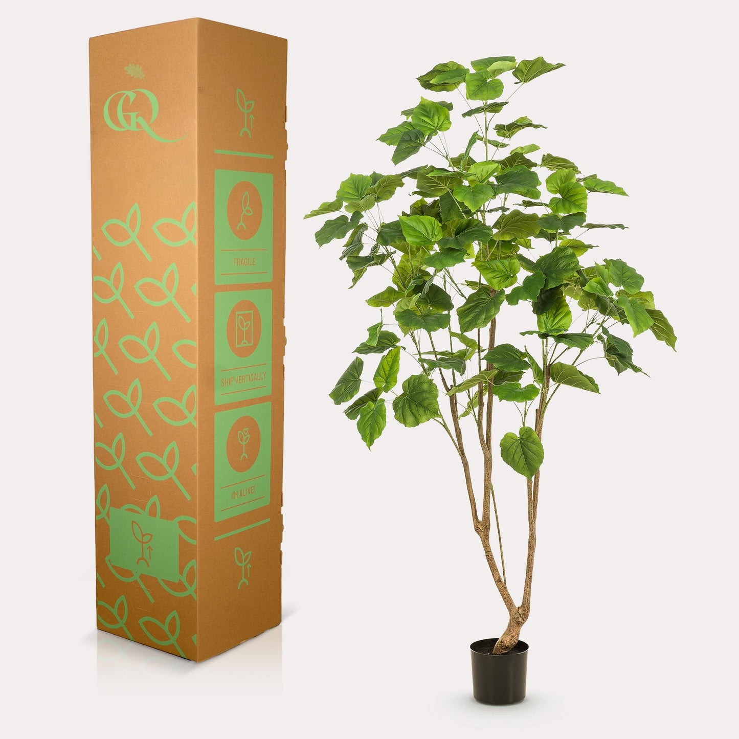 Pianta artificiale - Ficus umbellate - Fico africano - 180cm