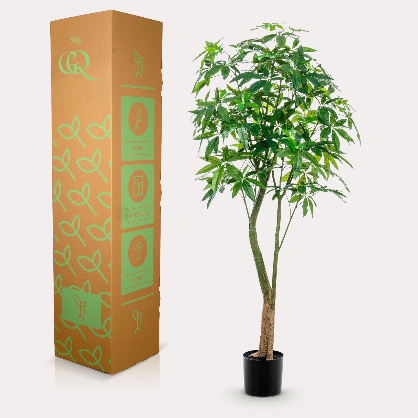Pianta artificiale - Pachira Aquatica - Albero dei soldi - 180 cm