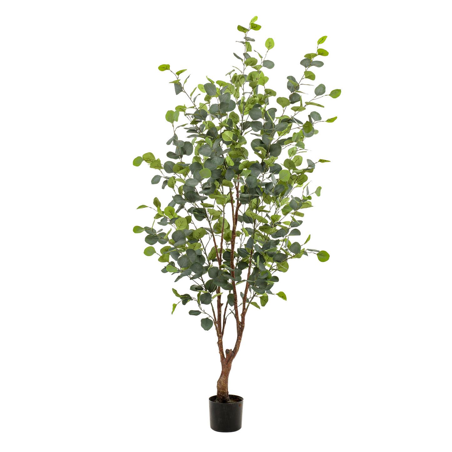Pianta artificiale - Eucalipto - Gomma blu - 140 cm