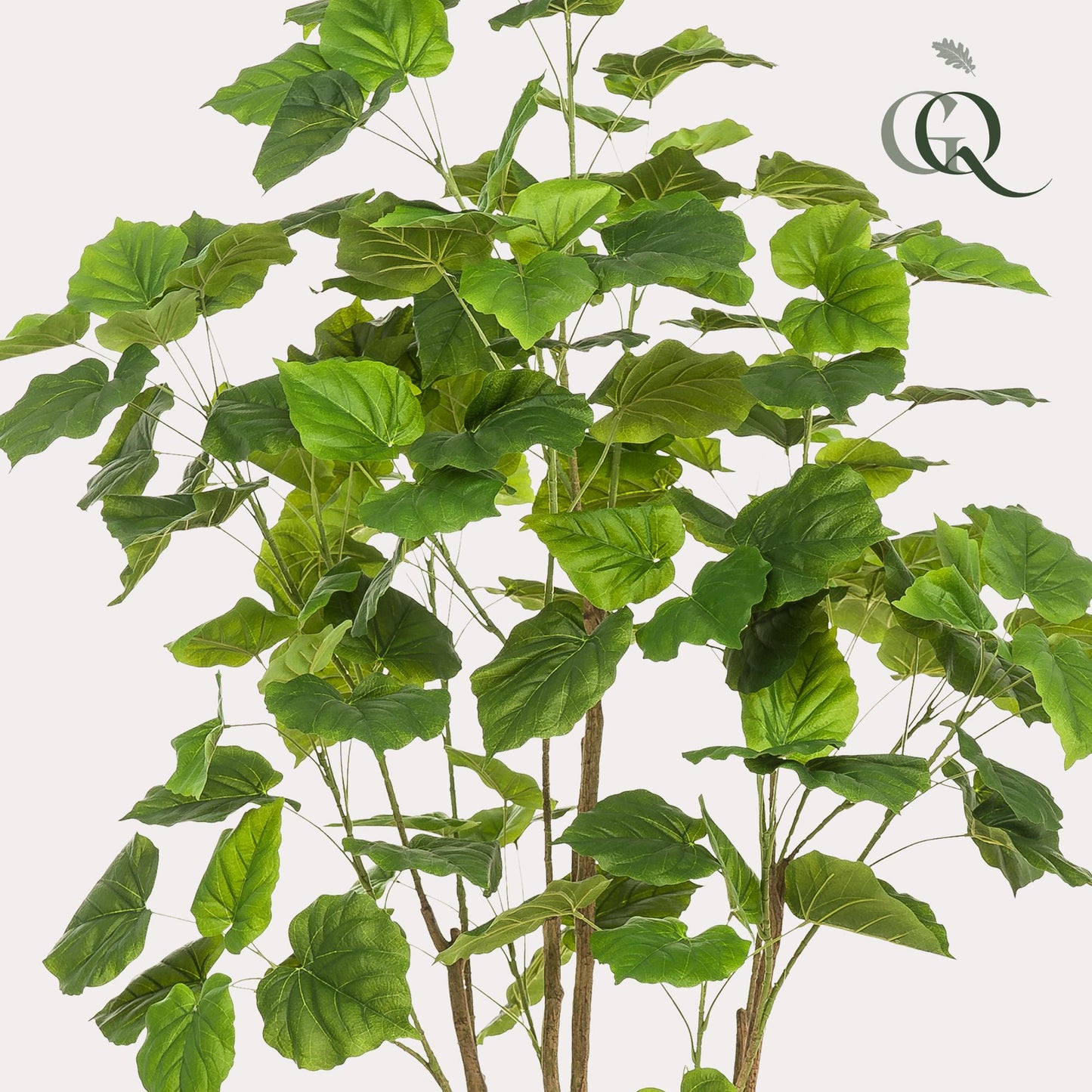 Pianta artificiale - Ficus umbellate - Fico africano - 180cm