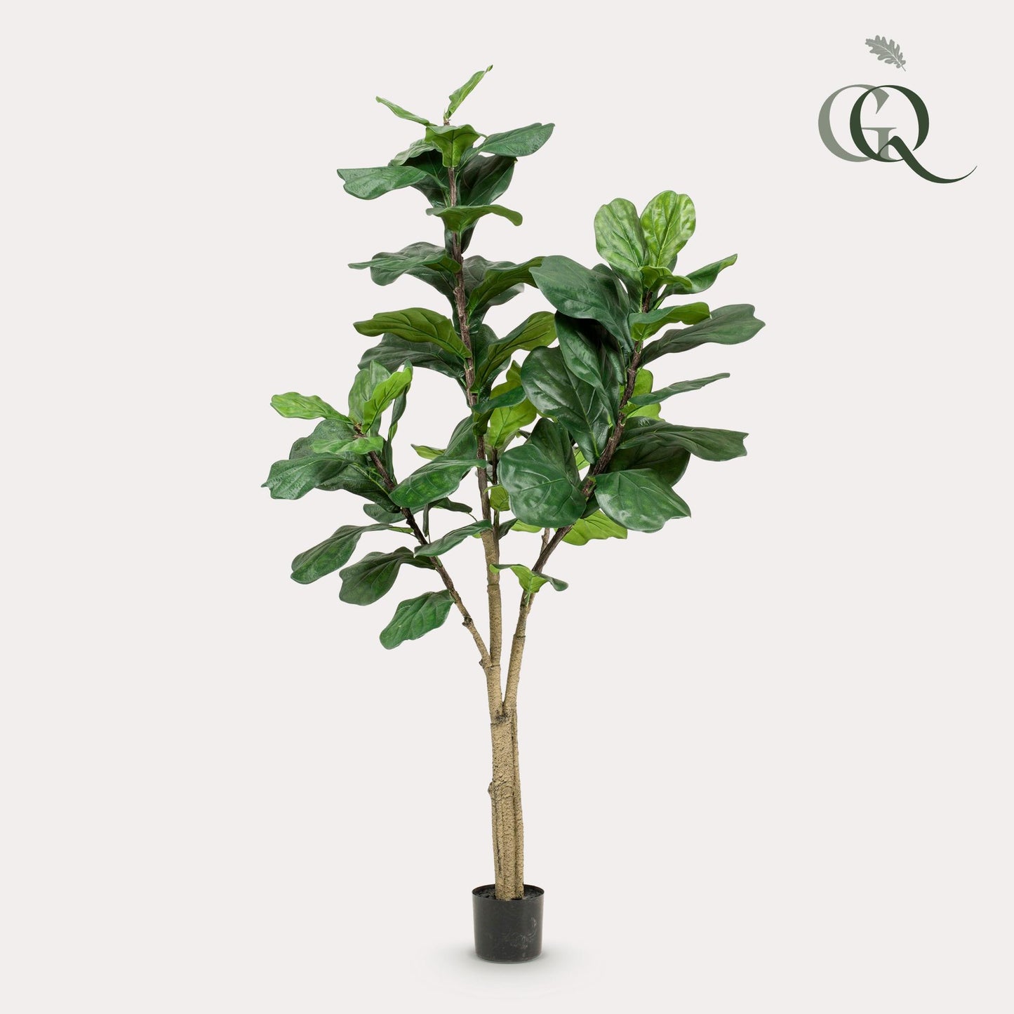 Pianta artificiale - Ficus Lyrata - Pianta di tabacco - 180 cm