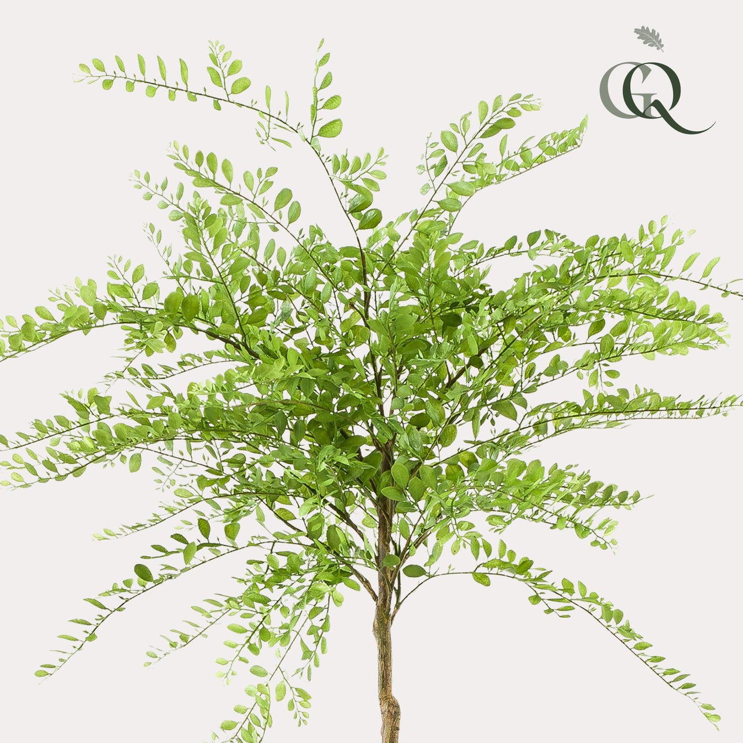 artificial plant - Sophora tree - Honey tree - 190cm
