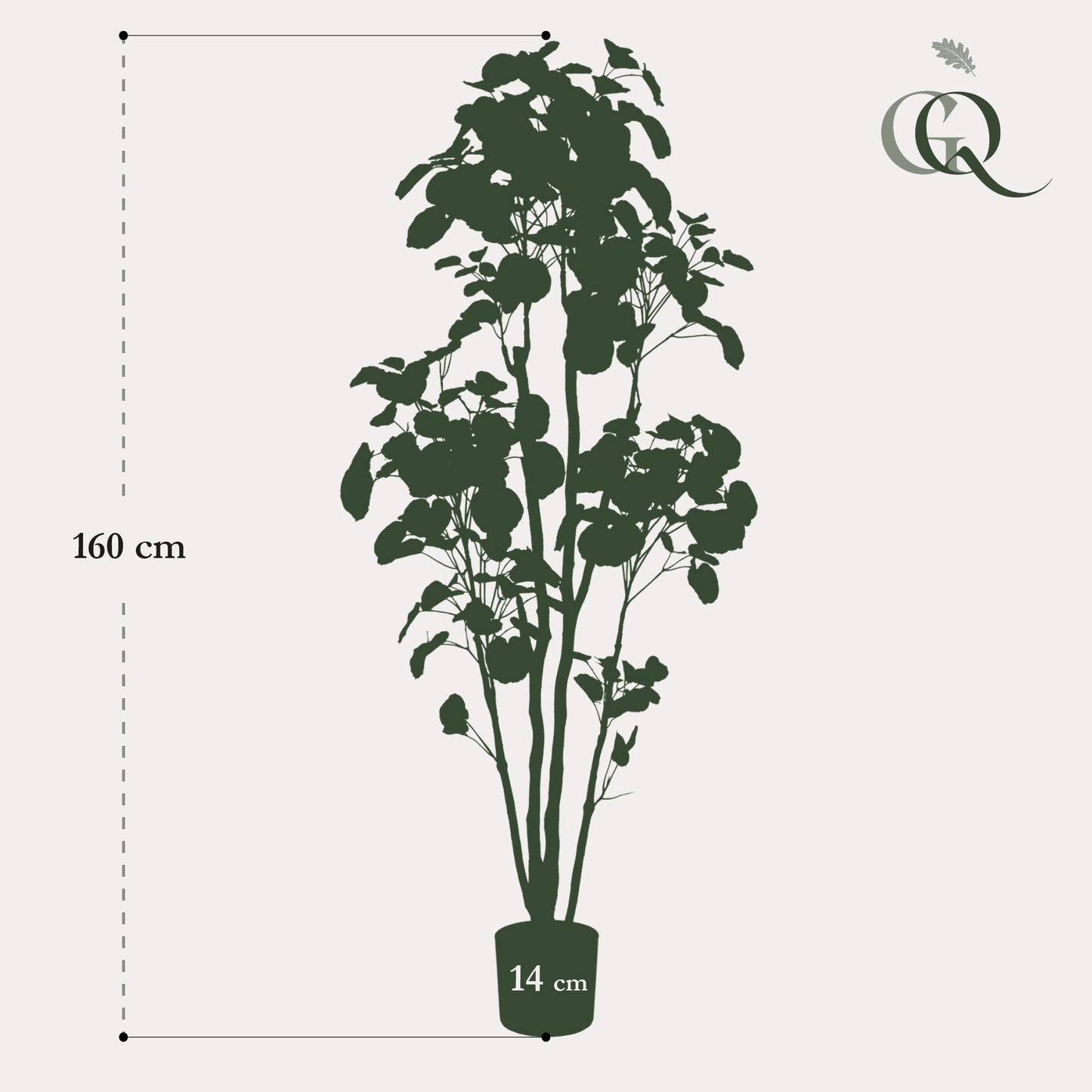 Pianta artificiale - Polyscias - Aralia - 160 cm