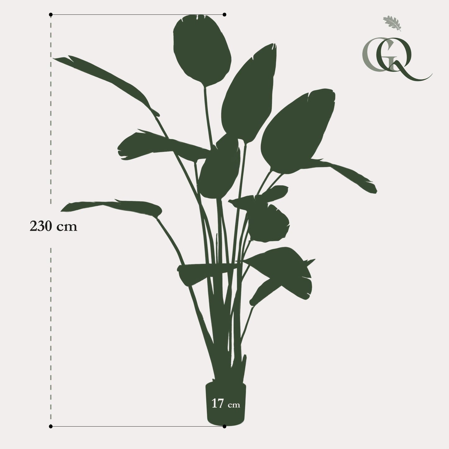 Artificial plant - Strelitzia Nicolai - Bird of Paradise flower - 230cm