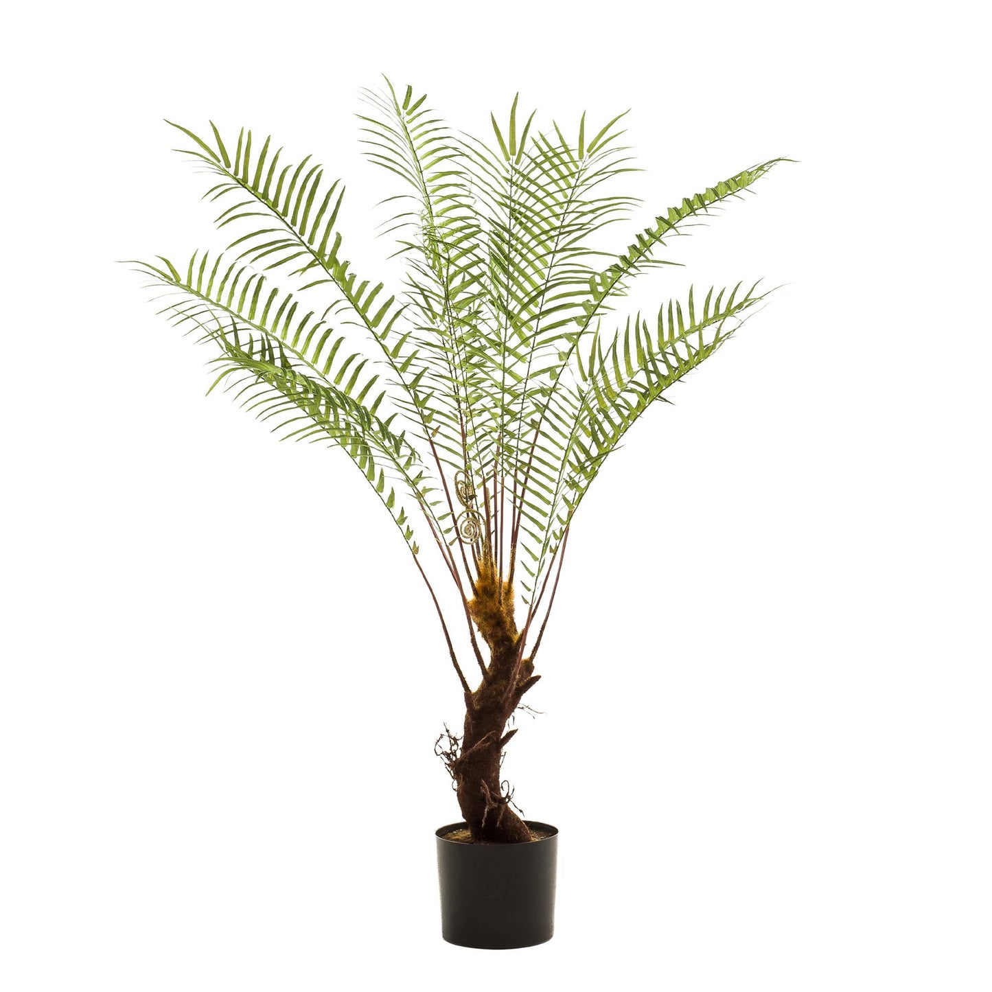Pianta artificiale - Felce arborea - x15 -1 25cm
