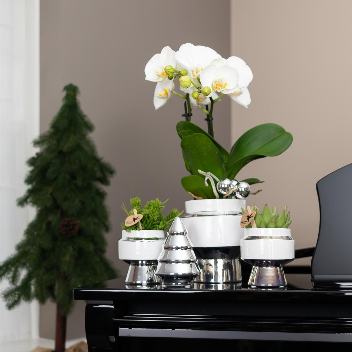 Kolibri Home | Vaso da fiori Le Chic - Vaso decorativo in ceramica bianca con dettagli argentati - Ø9cm