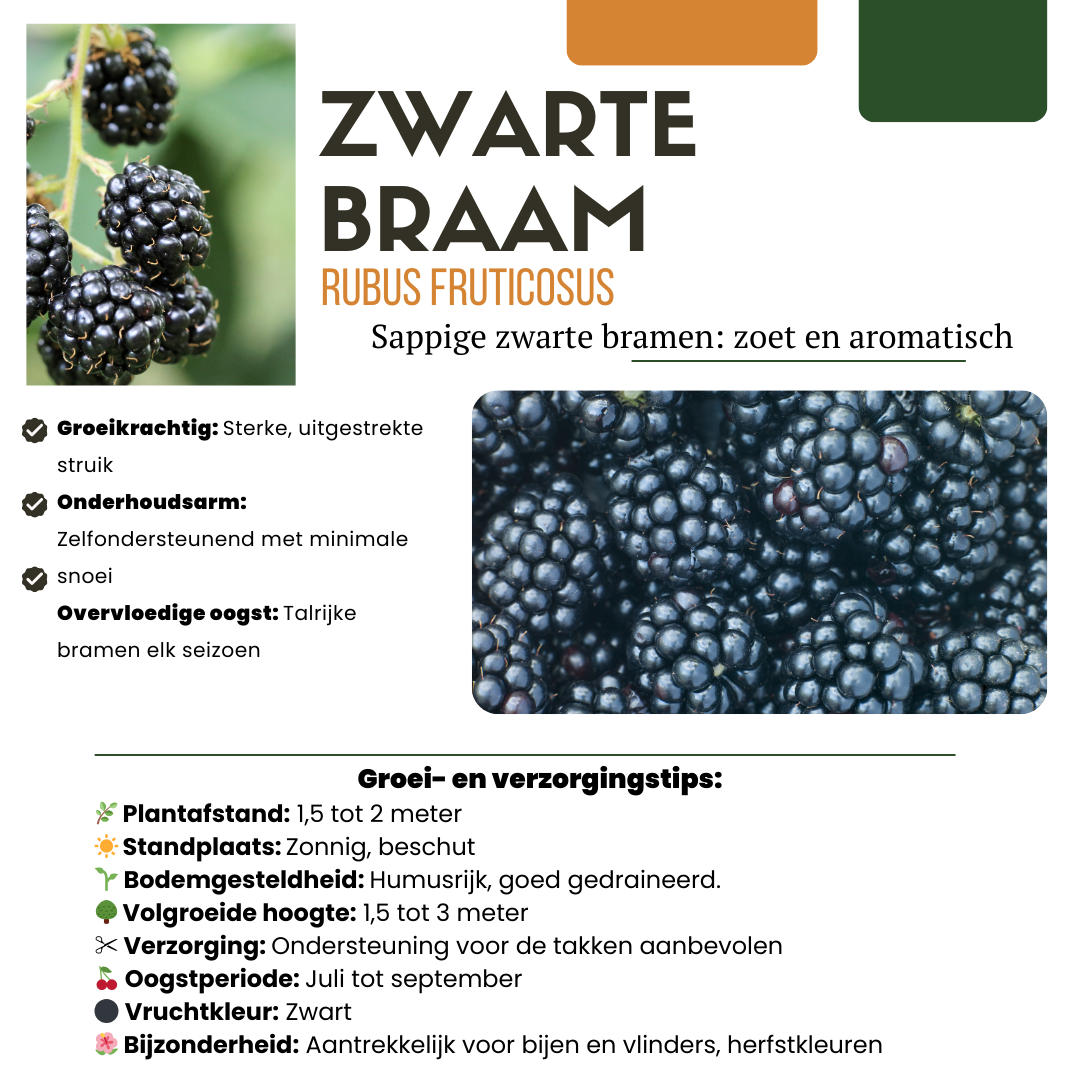 "Oasi della frutta" Set di piante da frutto BIO di 5 tipi diversi
