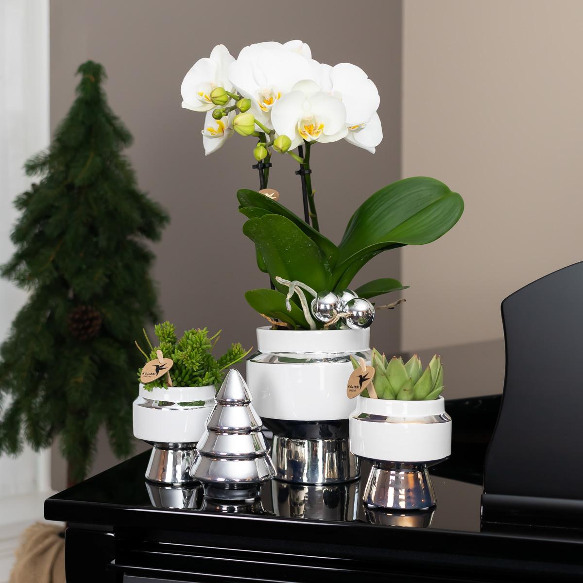 Kolibri Home | Vaso da fiori Le Chic - Vaso decorativo in ceramica bianca con dettagli argentati - Ø9cm