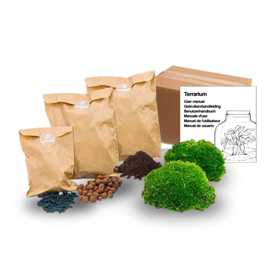 plant terrarium starter kit Plant terrarium - Refill - Starter kit - DIY