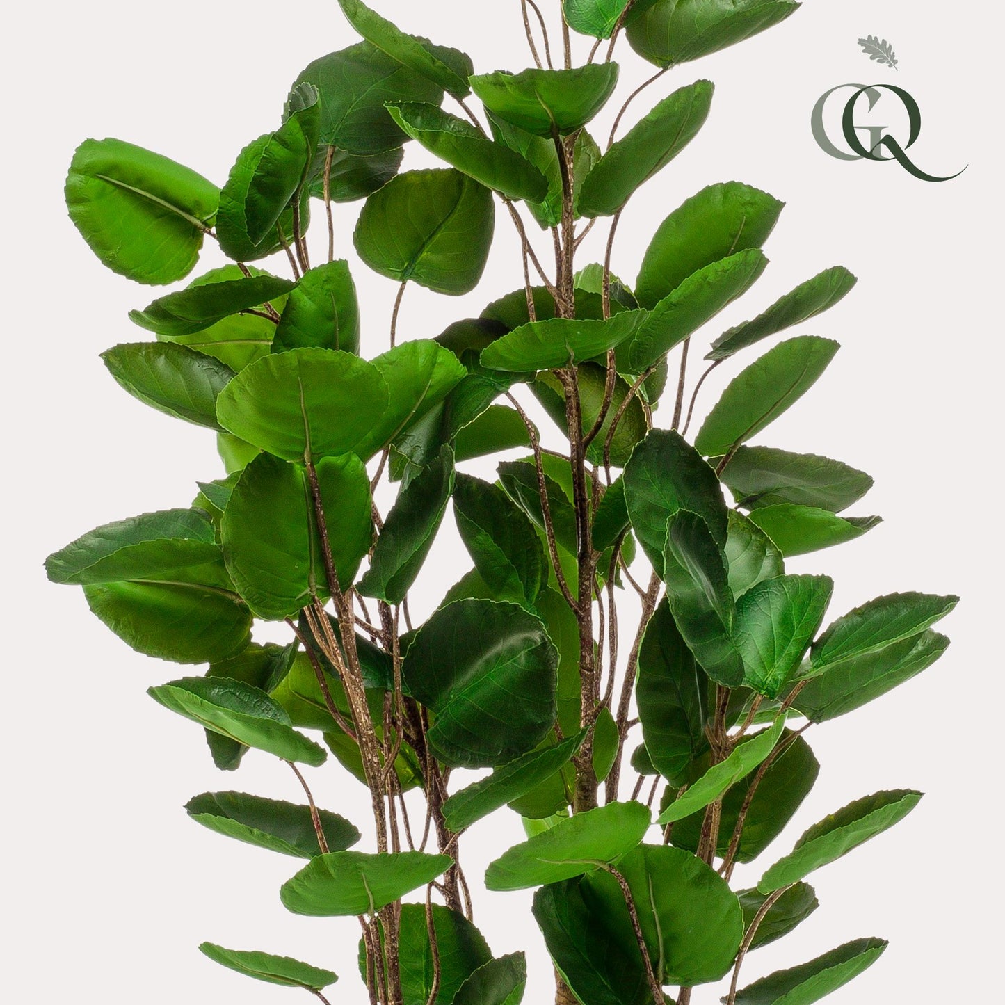 Pianta artificiale - Polyscias - Aralia - 105 cm