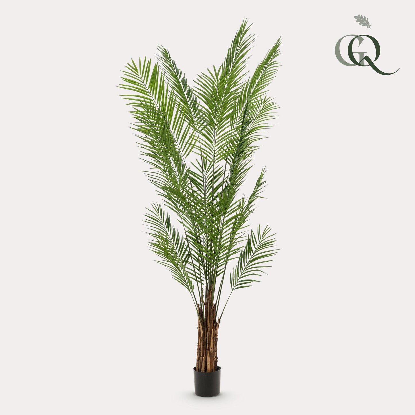 Artificial plants - Areca Lutescens - Gold Palm - 240cm