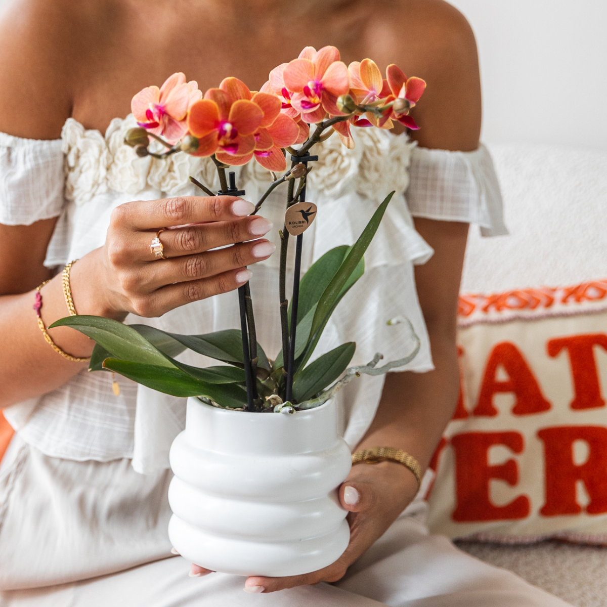 Orchidee colibrì | OFFERTA COMBI di 4 orchidee Phalaenopsis arancioni - Bolzano - dimensioni vaso Ø9cm | pianta d'appartamento in fiore - fresca dal coltivatore