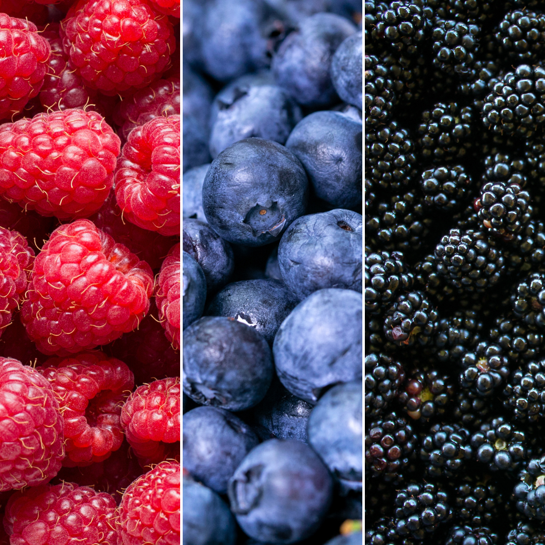 "Fruit party" Set di piante da frutto BIO di 3 tipi diversi