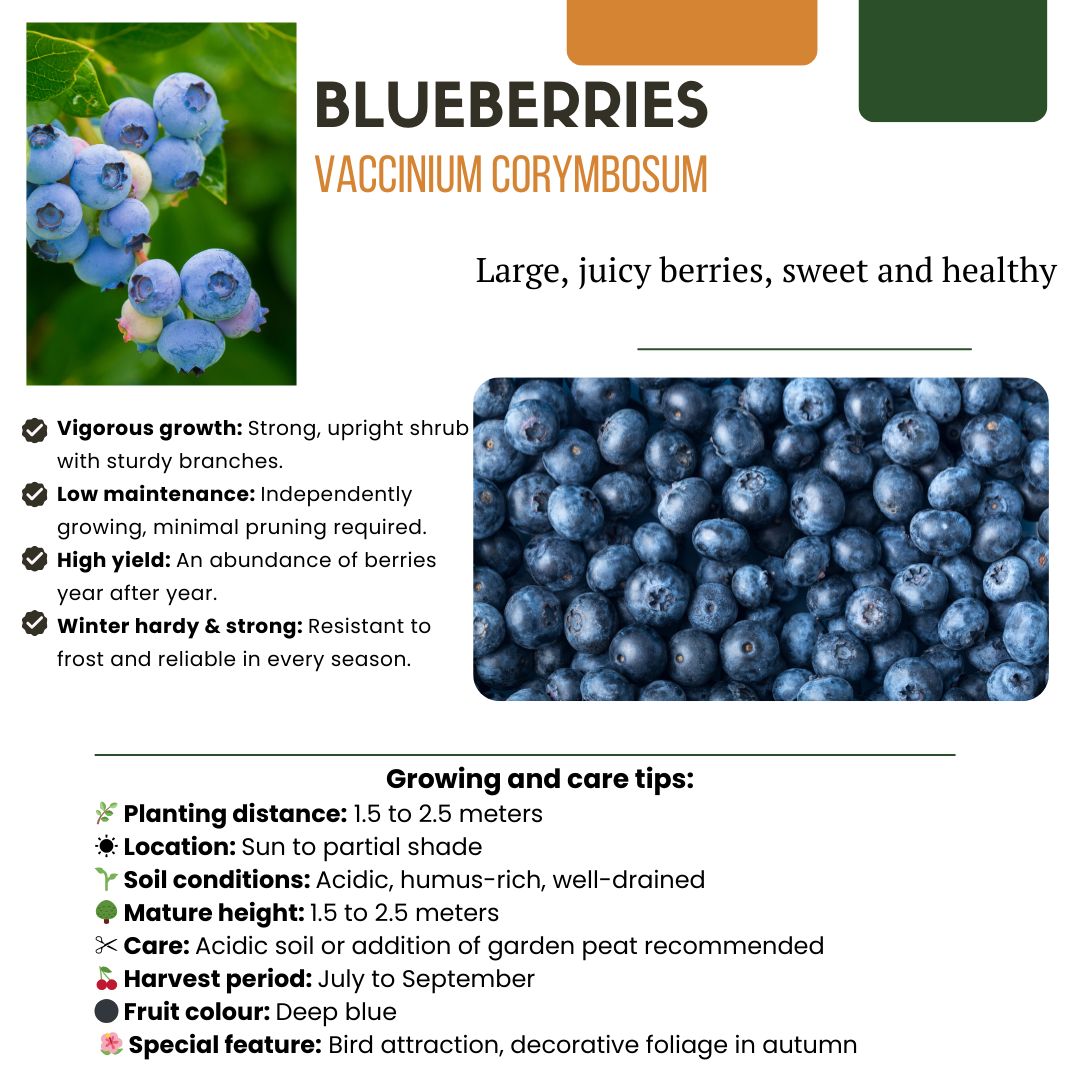 "Oasi della frutta" Set di piante da frutto BIO di 5 tipi diversi