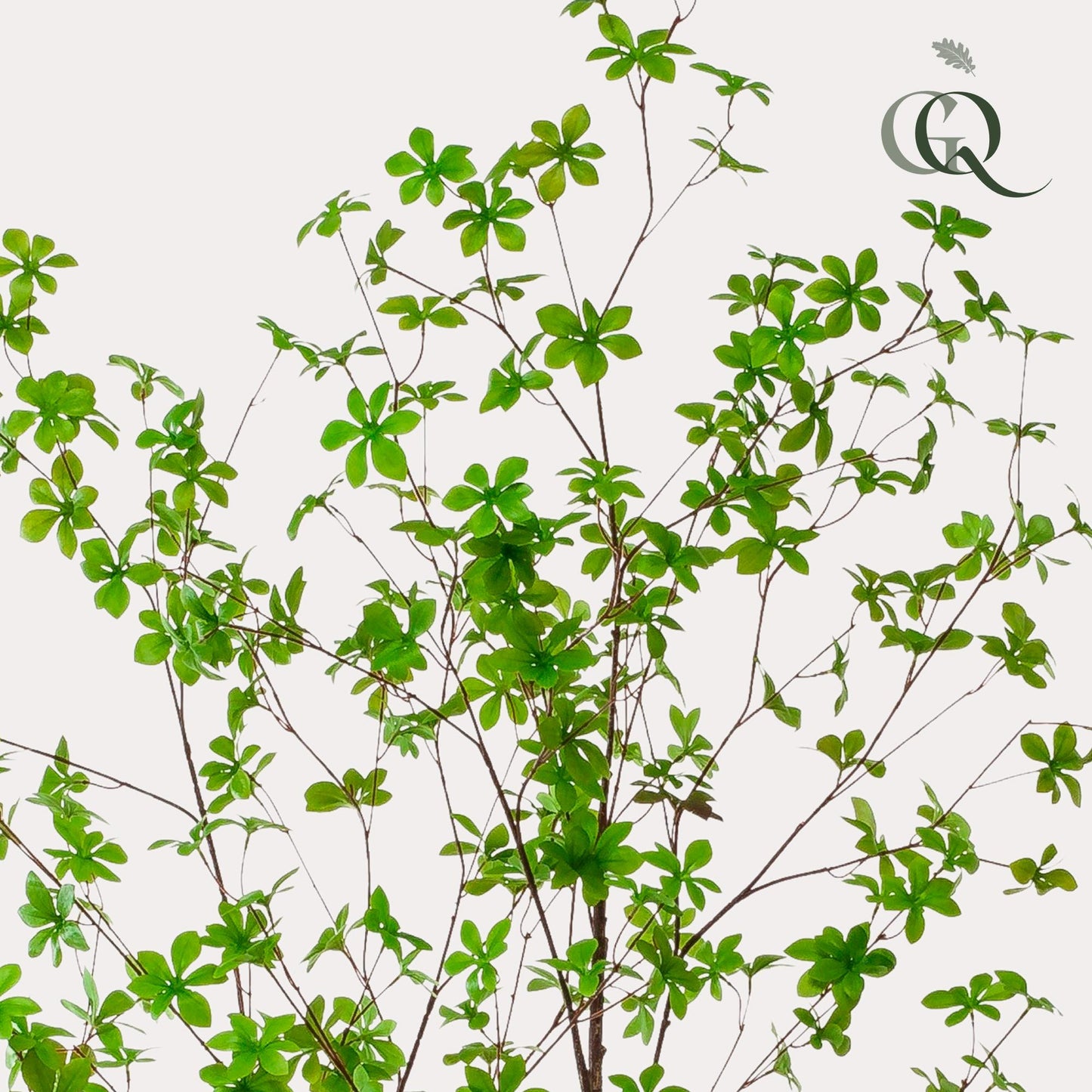 Artificial plant - Tropaeolum Speciosum - Nasturtium - 210 cm