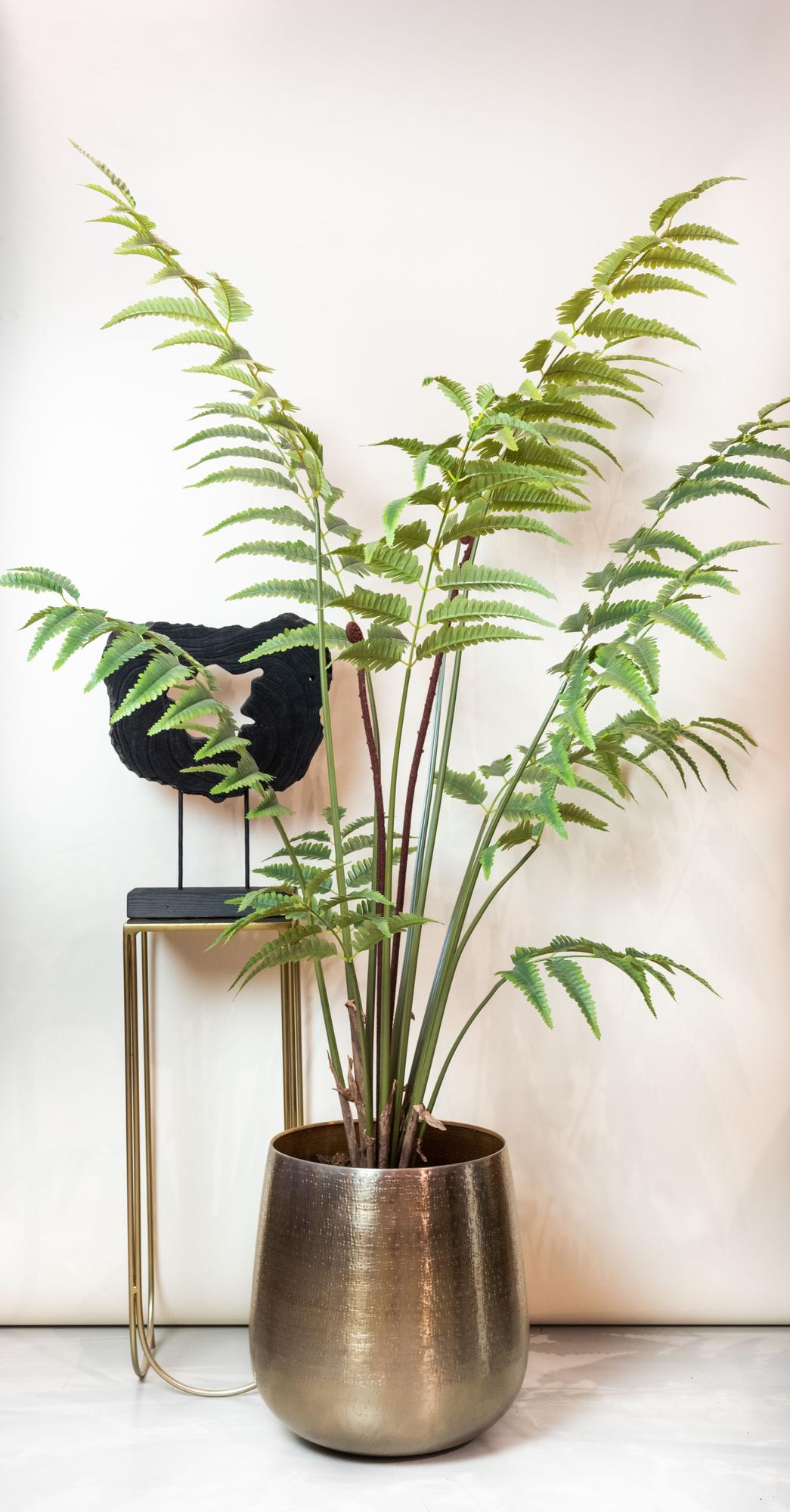 Artificial plant - Rumohra Adiantiformis - Leather fern - 150 cm