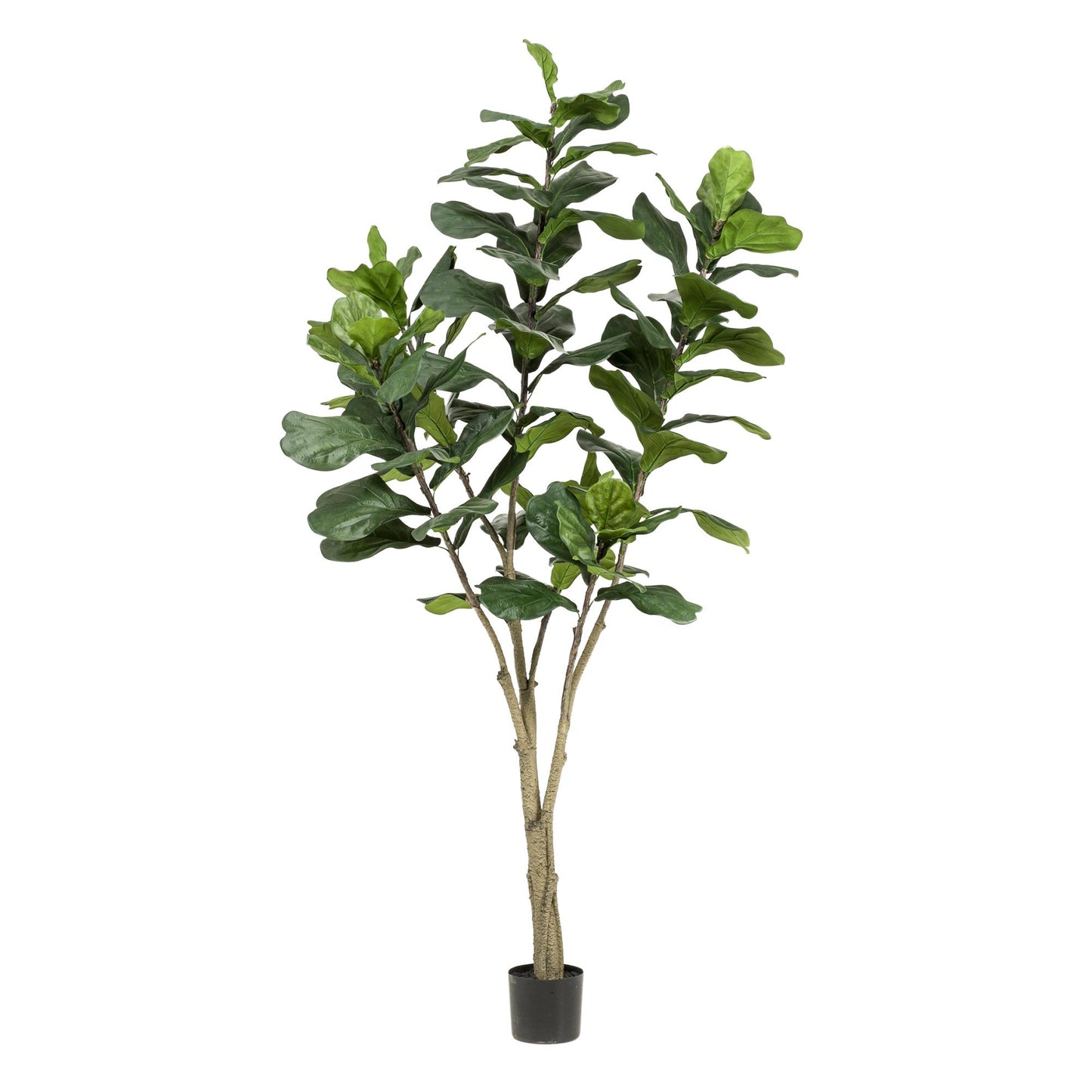 Pianta artificiale - Ficus Lyrata - Pianta di tabacco - 210cm