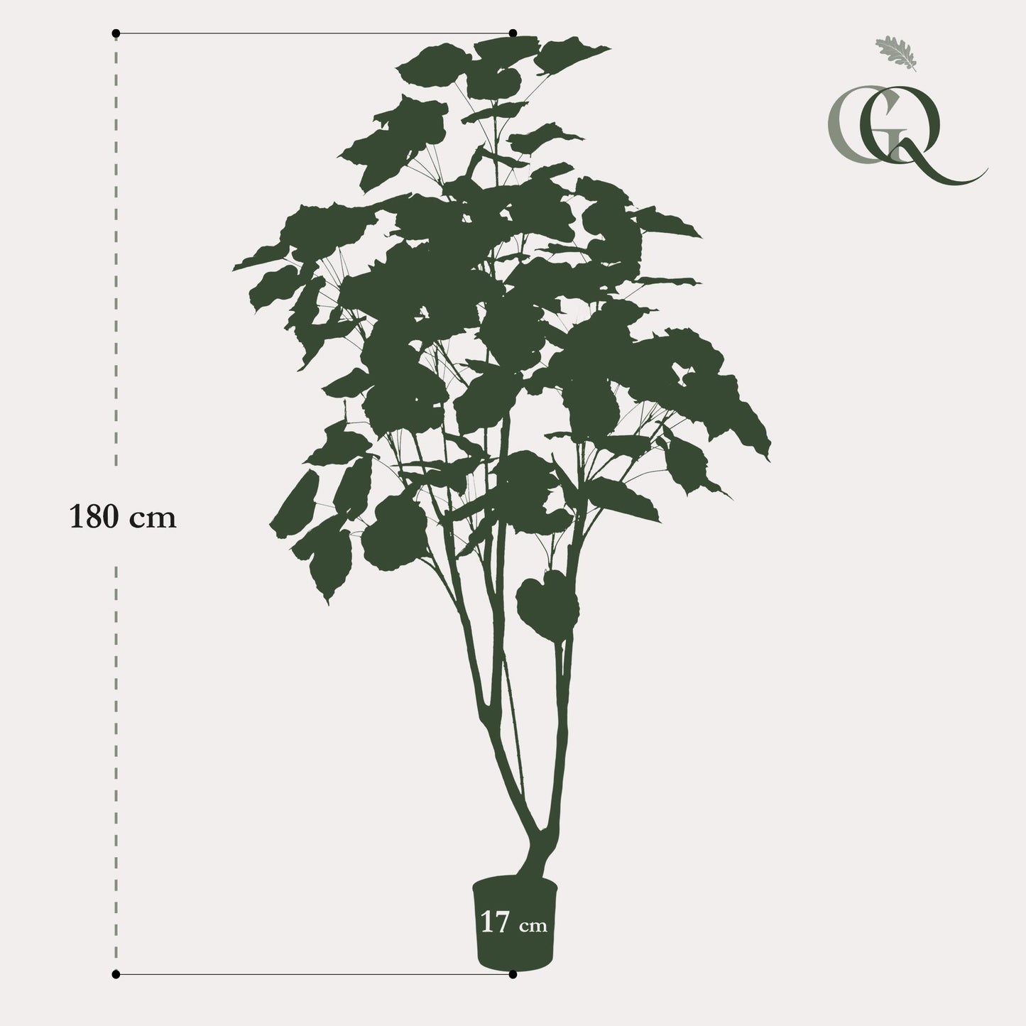 Pianta artificiale - Ficus umbellate - Fico africano - 180cm