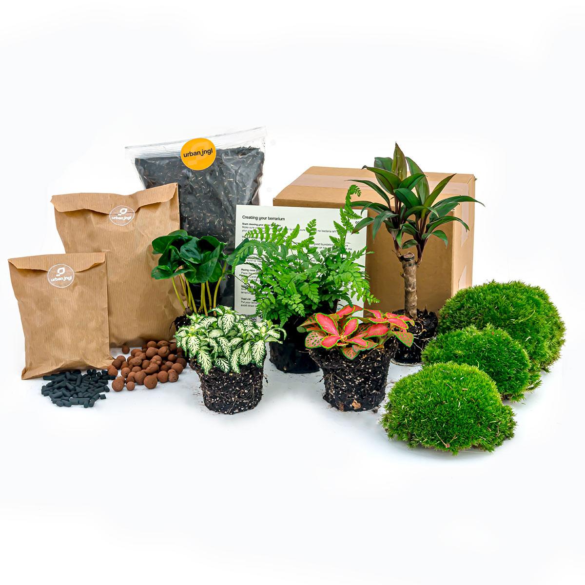 Kit terrario per piante - Jungle 5 - Kit di ricarica e di avviamento - Fai da te