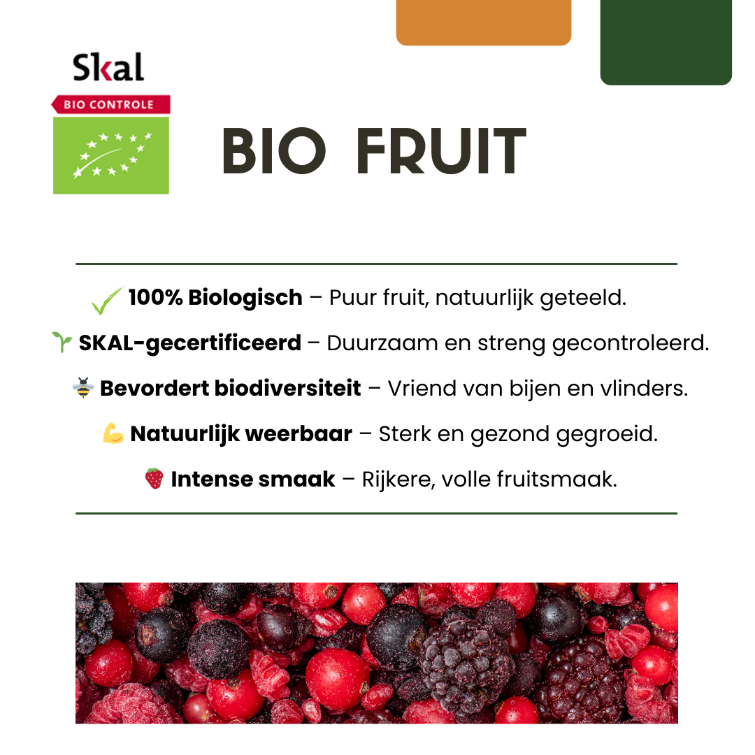 "Oasi della frutta" Set di piante da frutto BIO di 5 tipi diversi