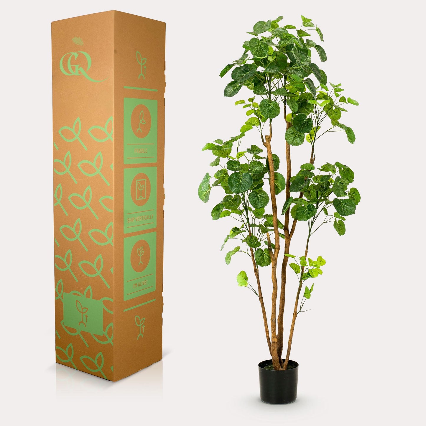 Pianta artificiale - Polyscias - Aralia - 160 cm