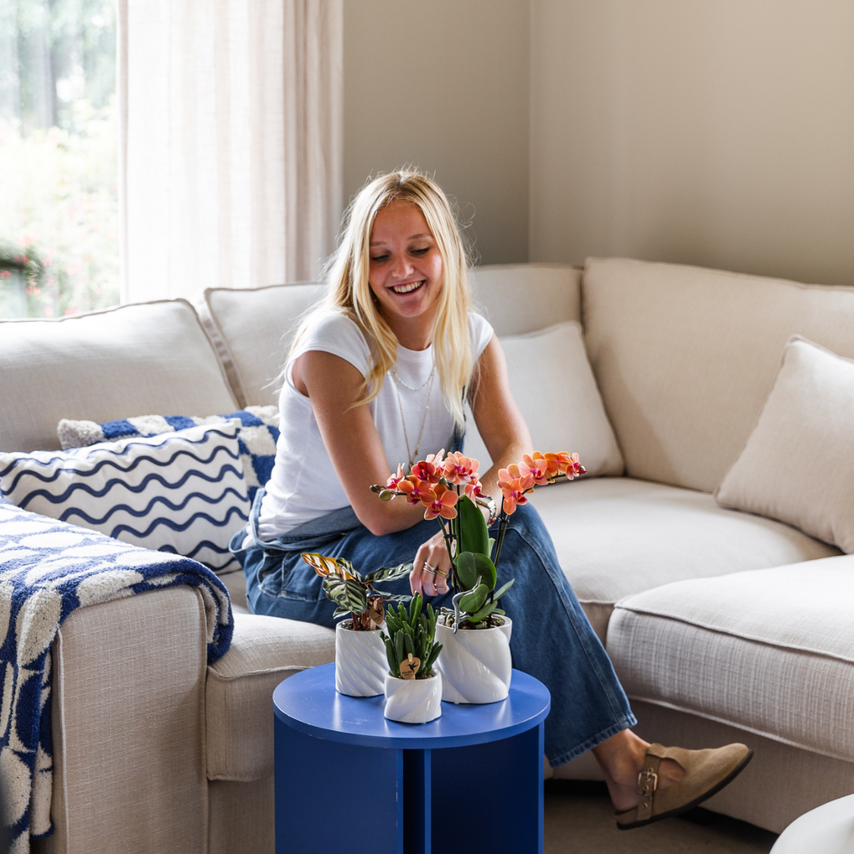 Orchidee colibrì | OFFERTA COMBI di 4 orchidee Phalaenopsis arancioni - Bolzano - dimensioni vaso Ø9cm | pianta d'appartamento in fiore - fresca dal coltivatore