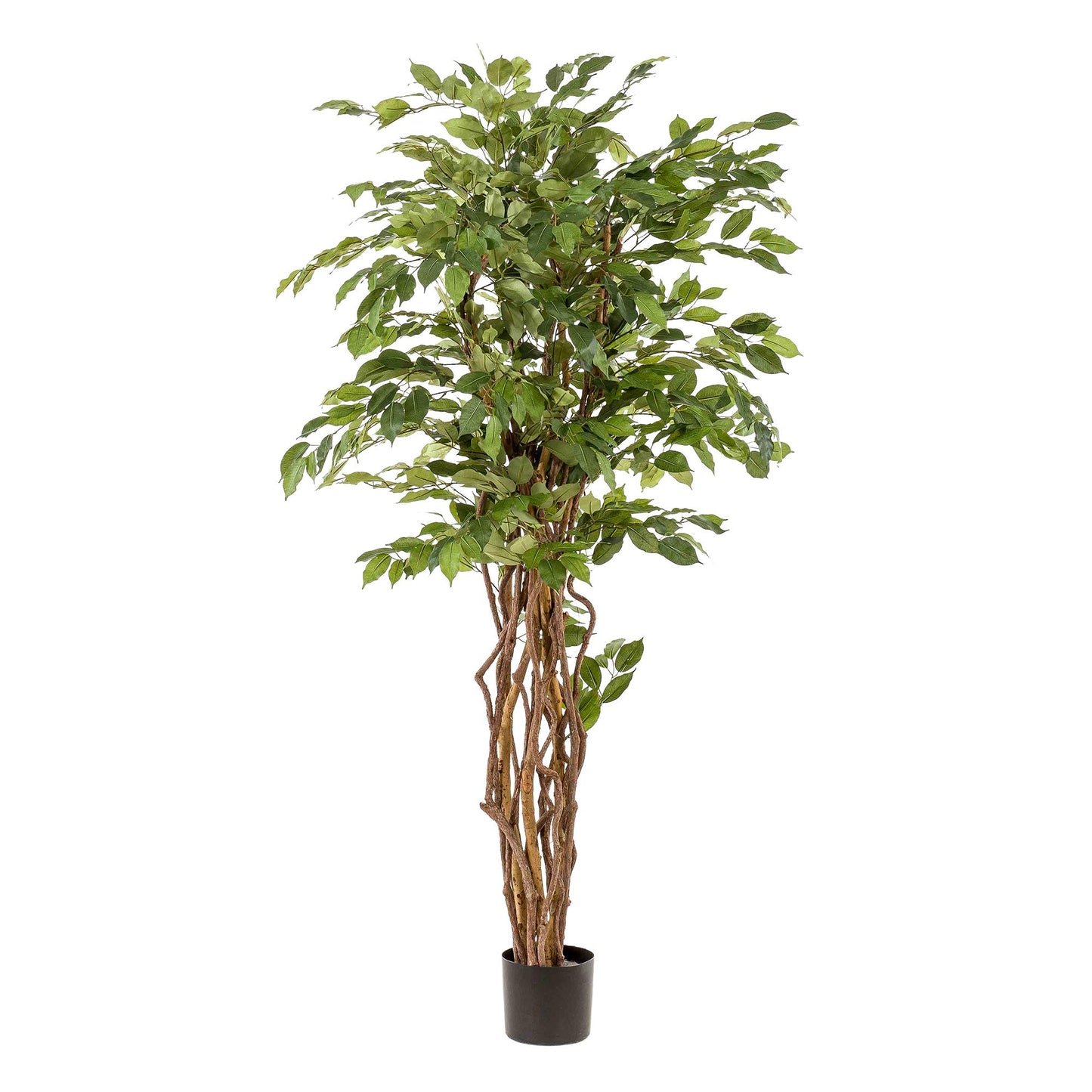 pianta artificiale - Ficus liana - Pianta a foglia di violino - 170 cm